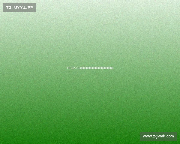 FIFA2002世界杯序列号揭秘与经典足球游戏时代回顾解析版